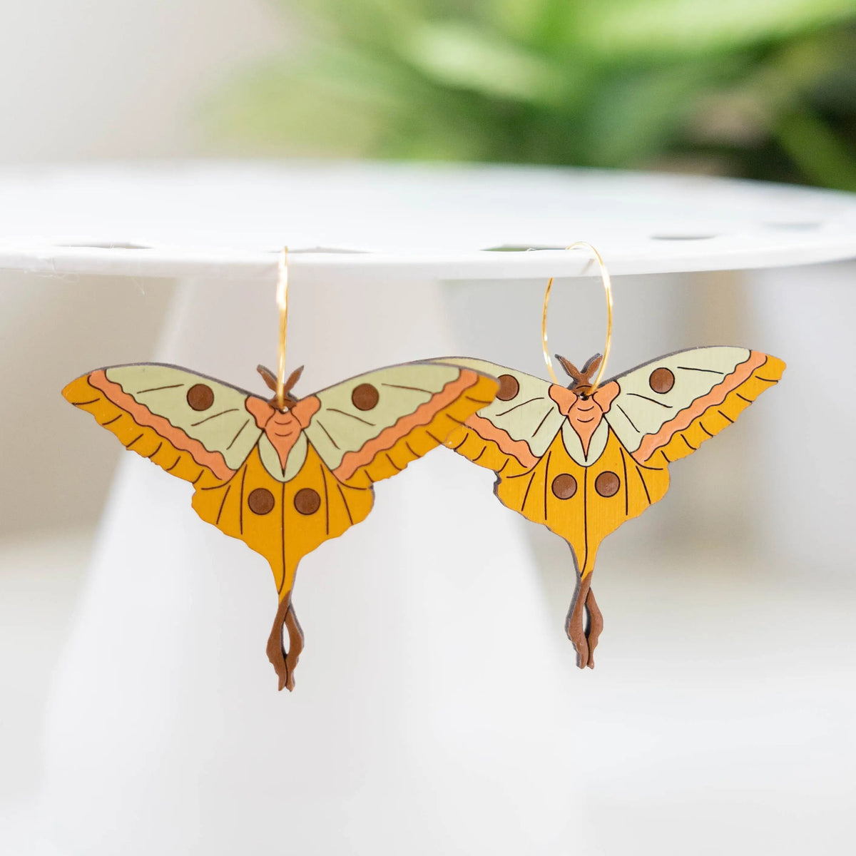 LARGE Madagascar Moon Moth Sticker