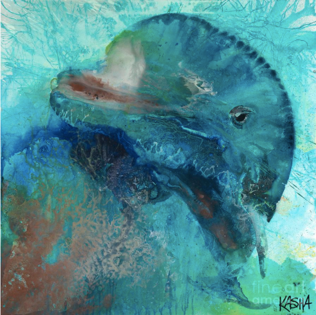 Dolphin - Giclee Canvas Pring by Kasha Ritter