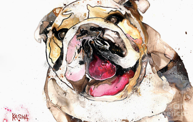 Bulldog Giclee Print by Kasha Ritter