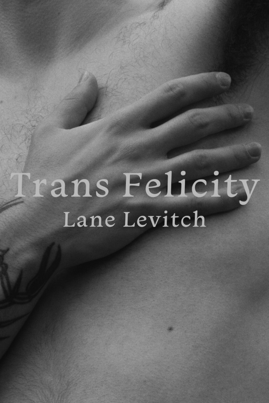 Trans Felicity by Lane Levitch