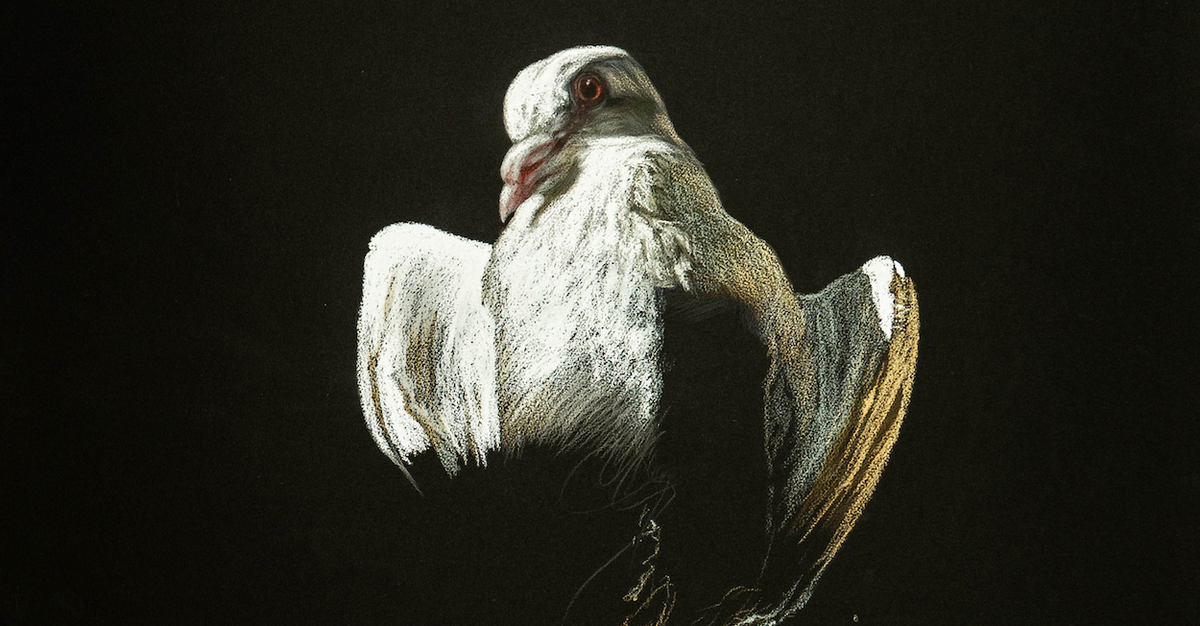 MANIFESTO: Drawings by Julio Cesar