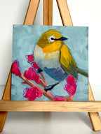 Kelley Luckett - Yellow Warbler