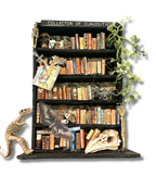Kimberly Kelting - Oddibrary