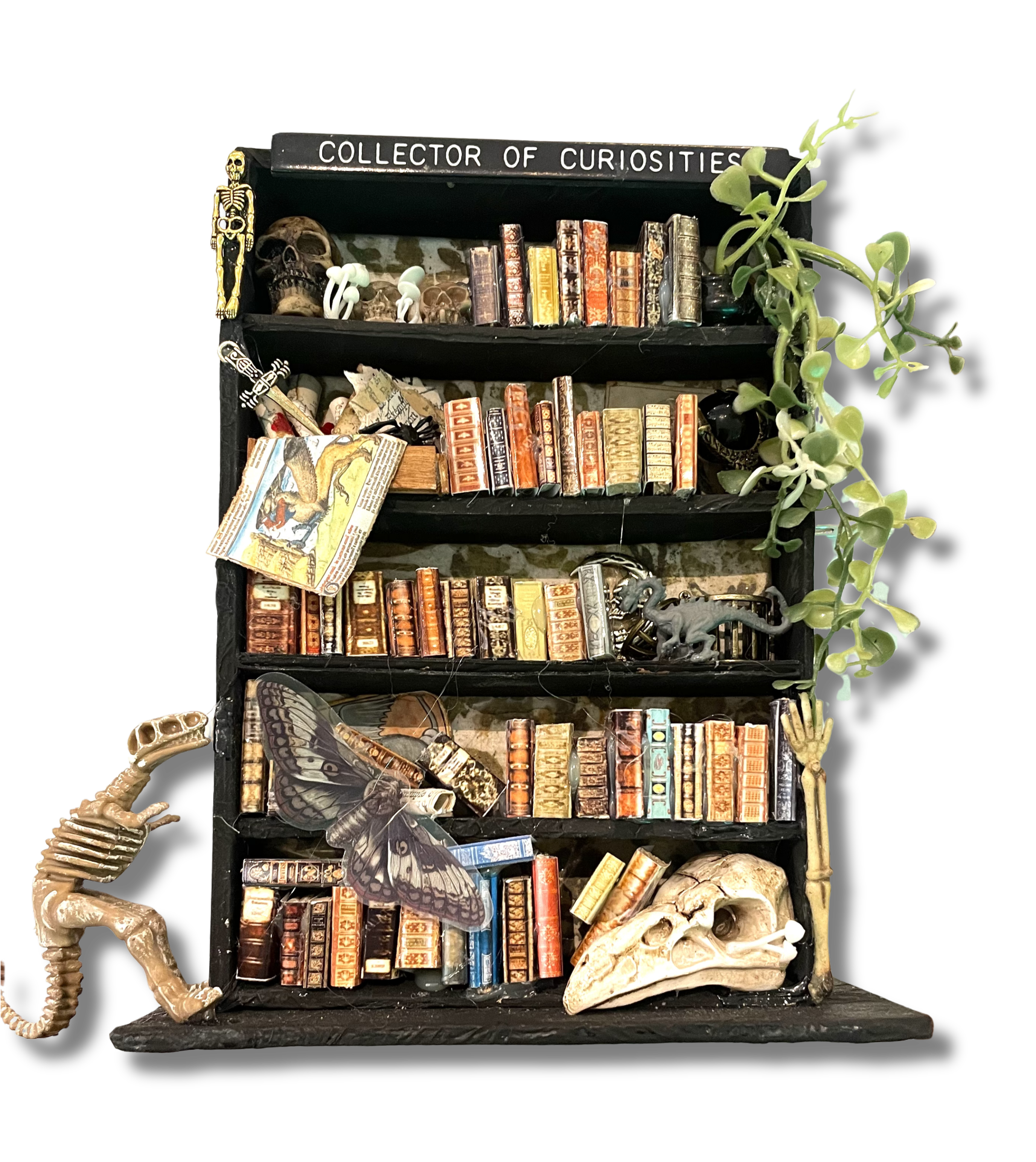 Kimberly Kelting - Oddibrary