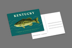 Jessica Holly Creative - Kentucky Fish 4x6 Postcard