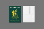 Jessica Holly Creative - Kentucky Flower 4x6 Postcard