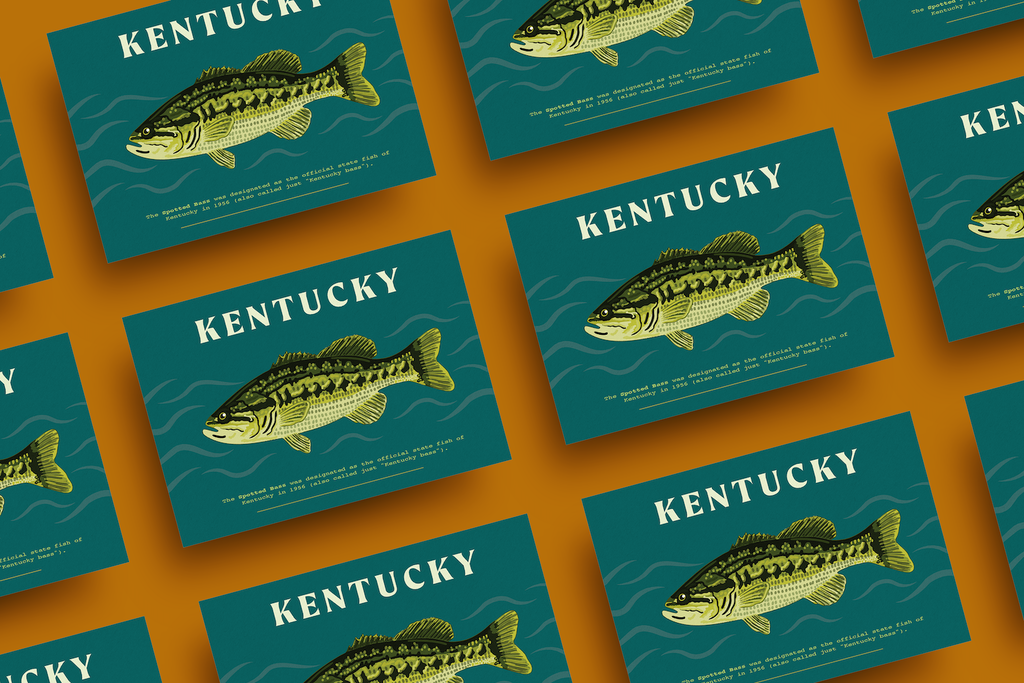 Jessica Holly Creative - Kentucky Fish 4x6 Postcard