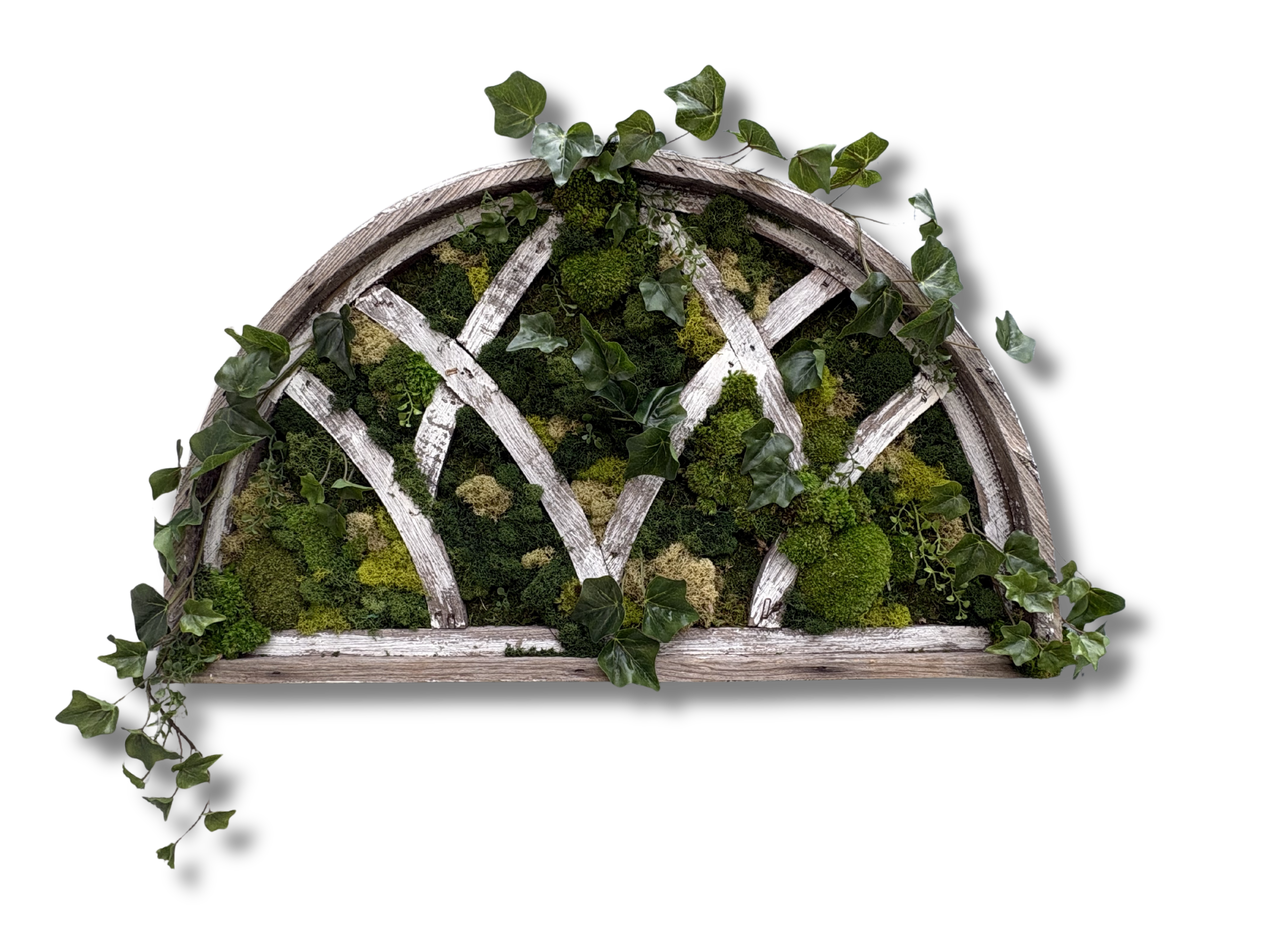 Imani Burns - Vintage Wide Window Pane Moss Art