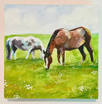 Kelley Luckett - Field of Dreams