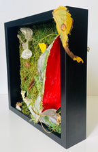 Ada Asenjo - The Glass Slipper