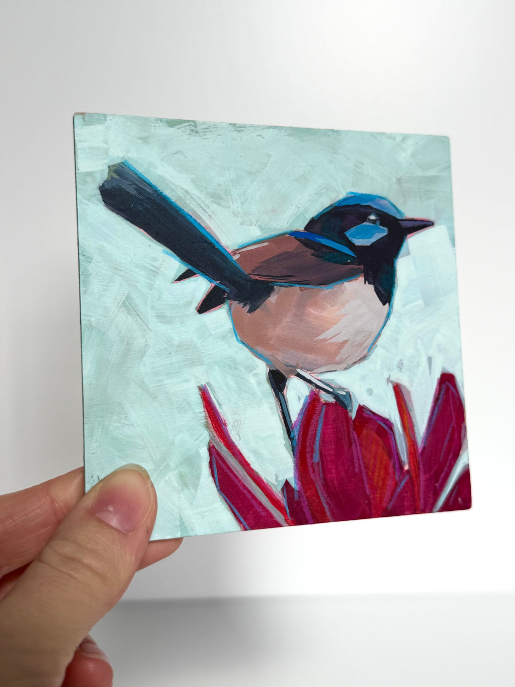 Kelley Luckett - Fairy Wren