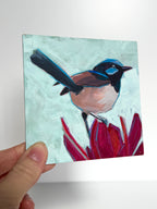 Kelley Luckett - Fairy Wren
