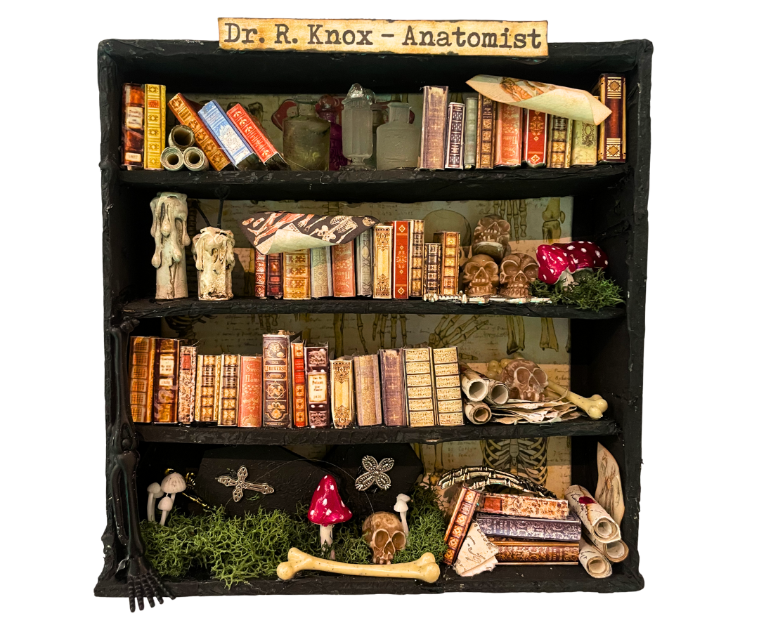Kimberly Kelting - Oddibrary
