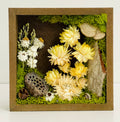 CA Studios - Framed Forest 5.5"x5.5"