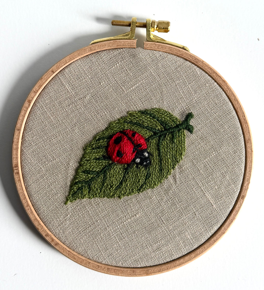 Paige Ream - LadyBug on Leaf
