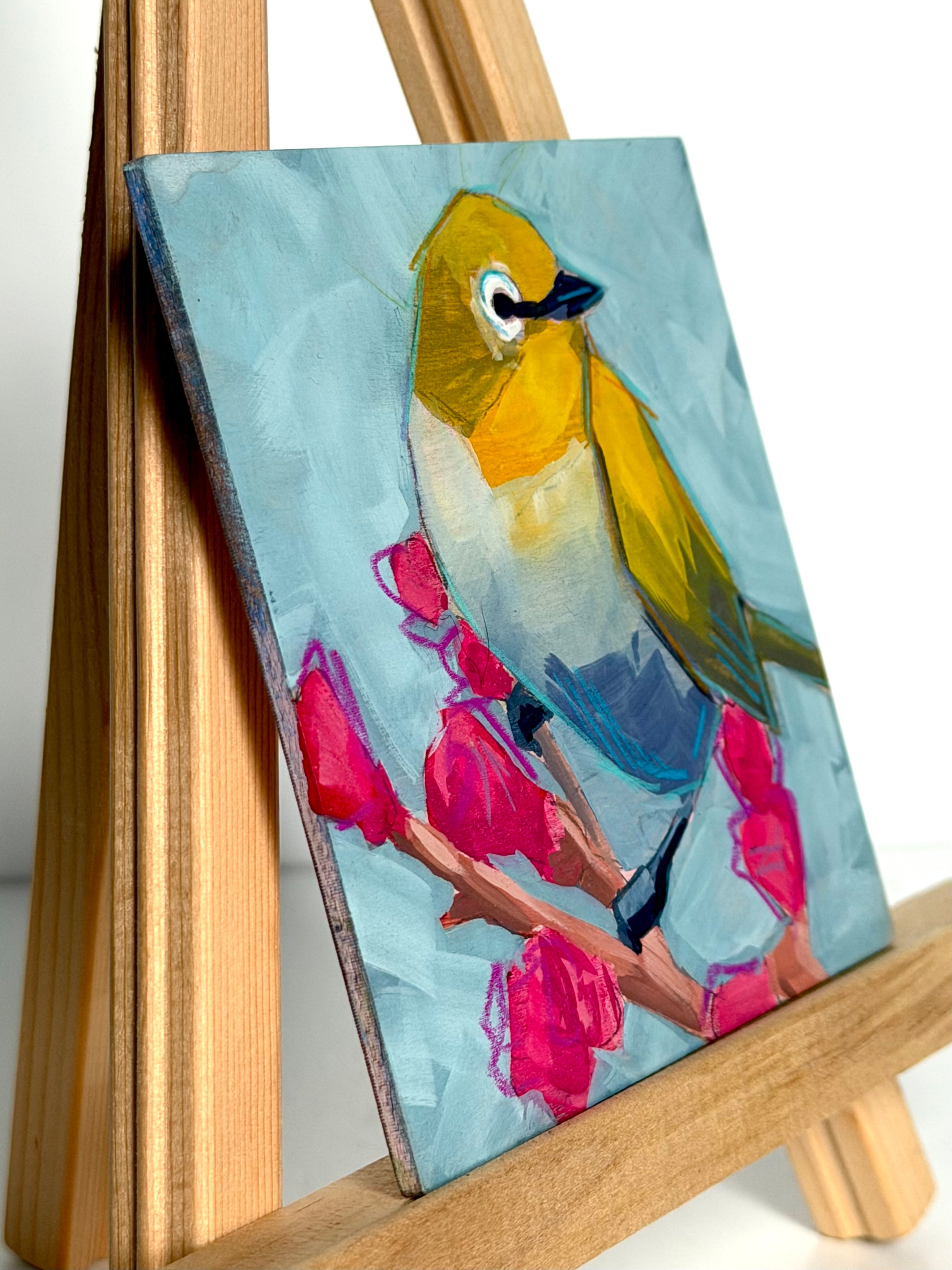 Kelley Luckett - Yellow Warbler