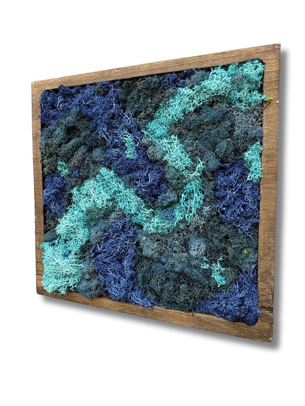 Imani Burns - Blue Square Moss Art