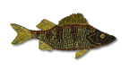 Patrick Jilbert - June BLK Perch