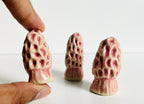 K Dub Art- Morel Mushrooms