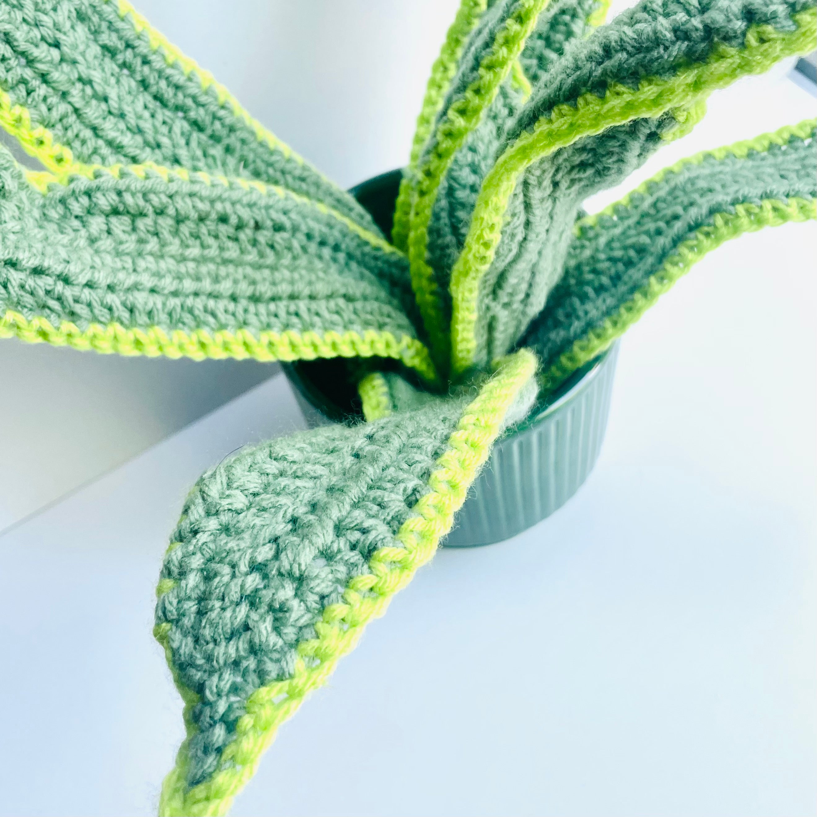 Cams Creations - Potted Crochet Snake Plant