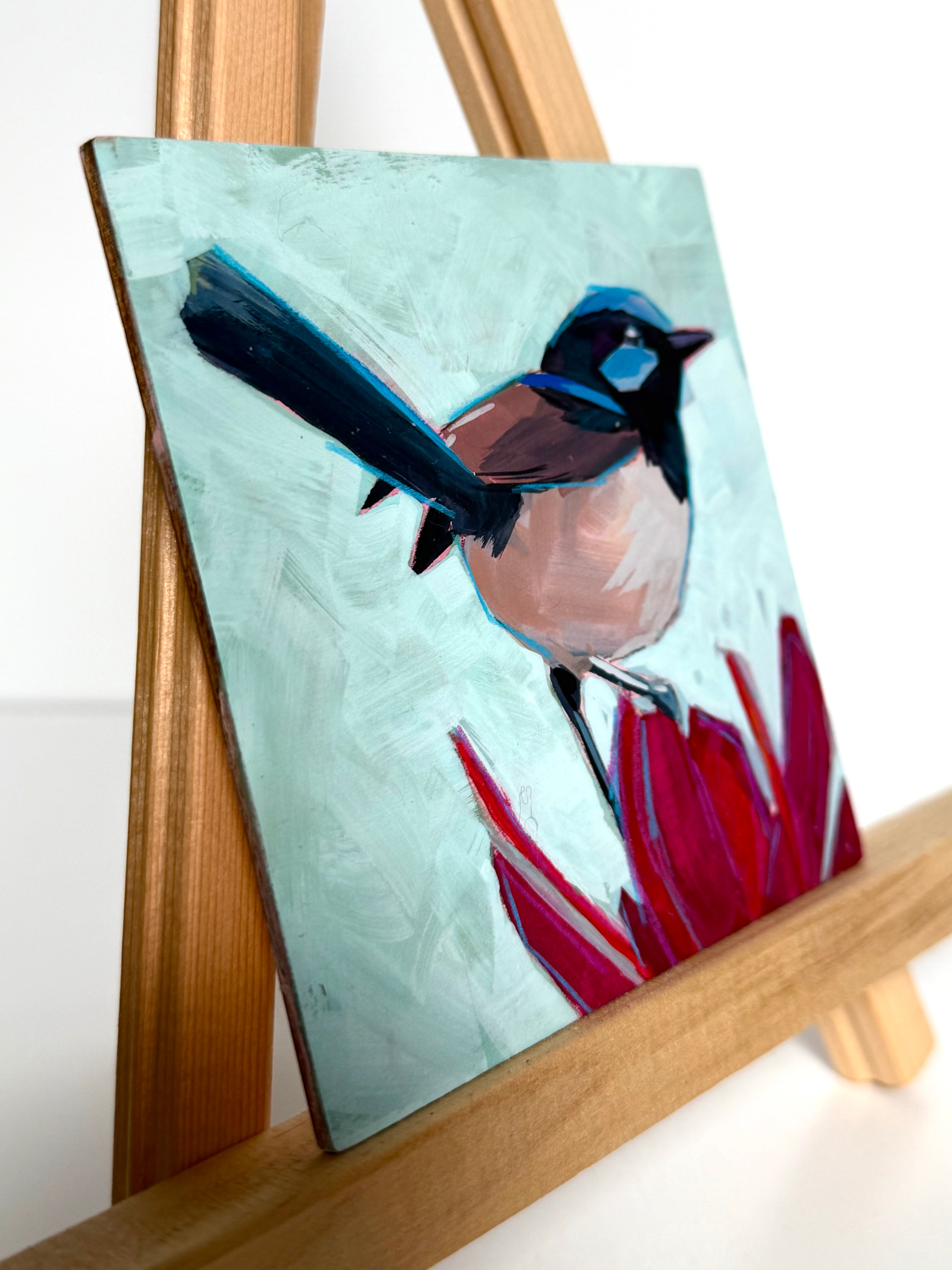 Kelley Luckett - Fairy Wren