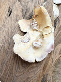 Finds Design - Small Conch Earrings