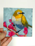 Kelley Luckett - Yellow Warbler