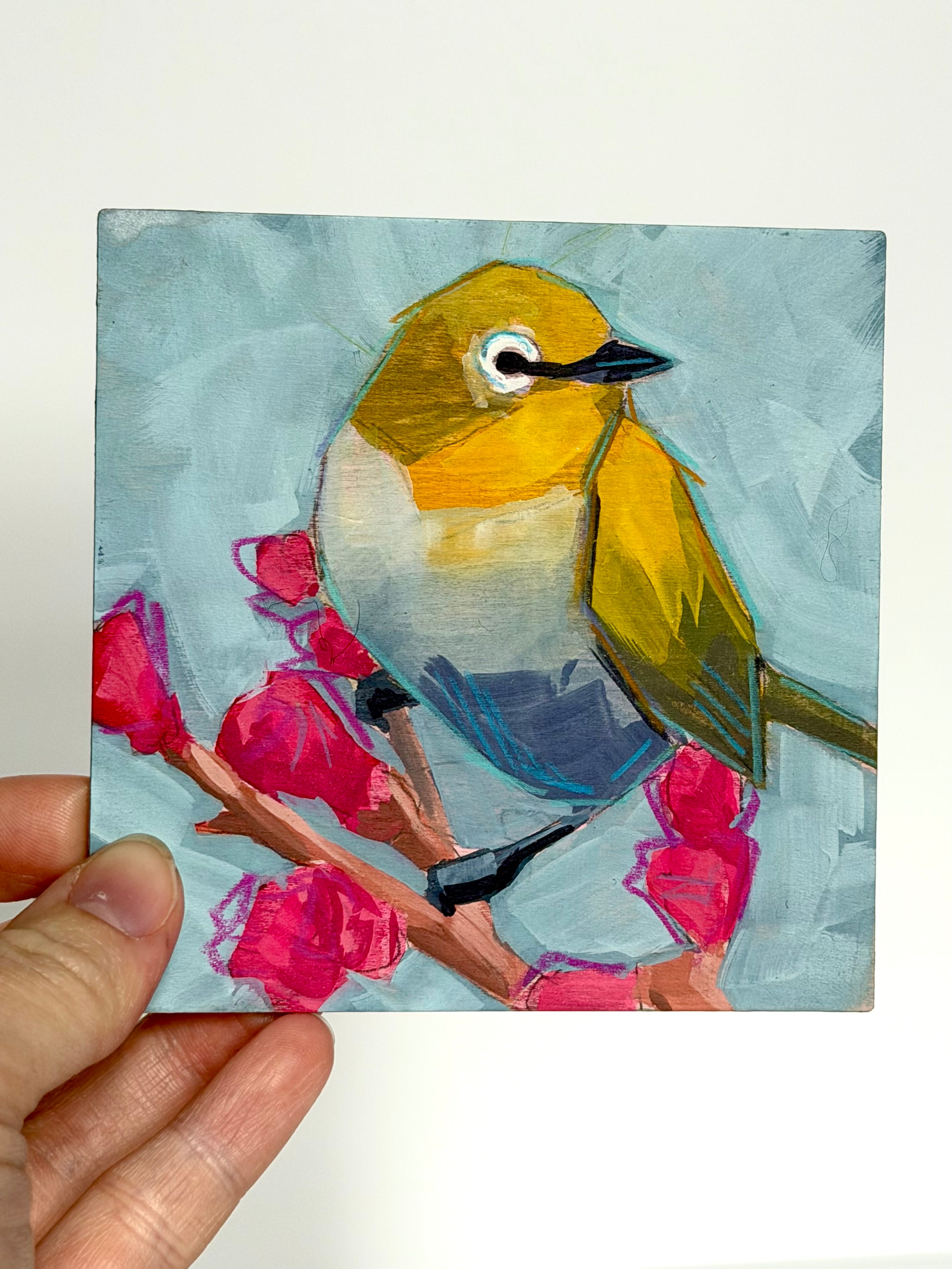 Kelley Luckett - Yellow Warbler