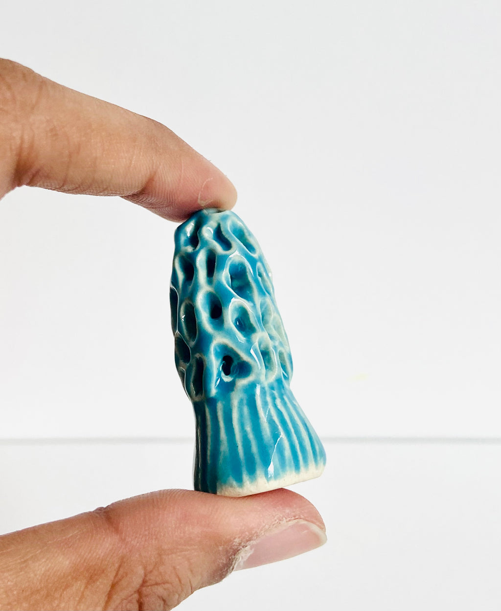 K Dub Art- Morel Mushrooms
