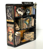 Kimberly Kelting - Palmistry Oddibrary