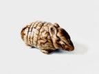 K Dub Art- Ceramic Armadillos