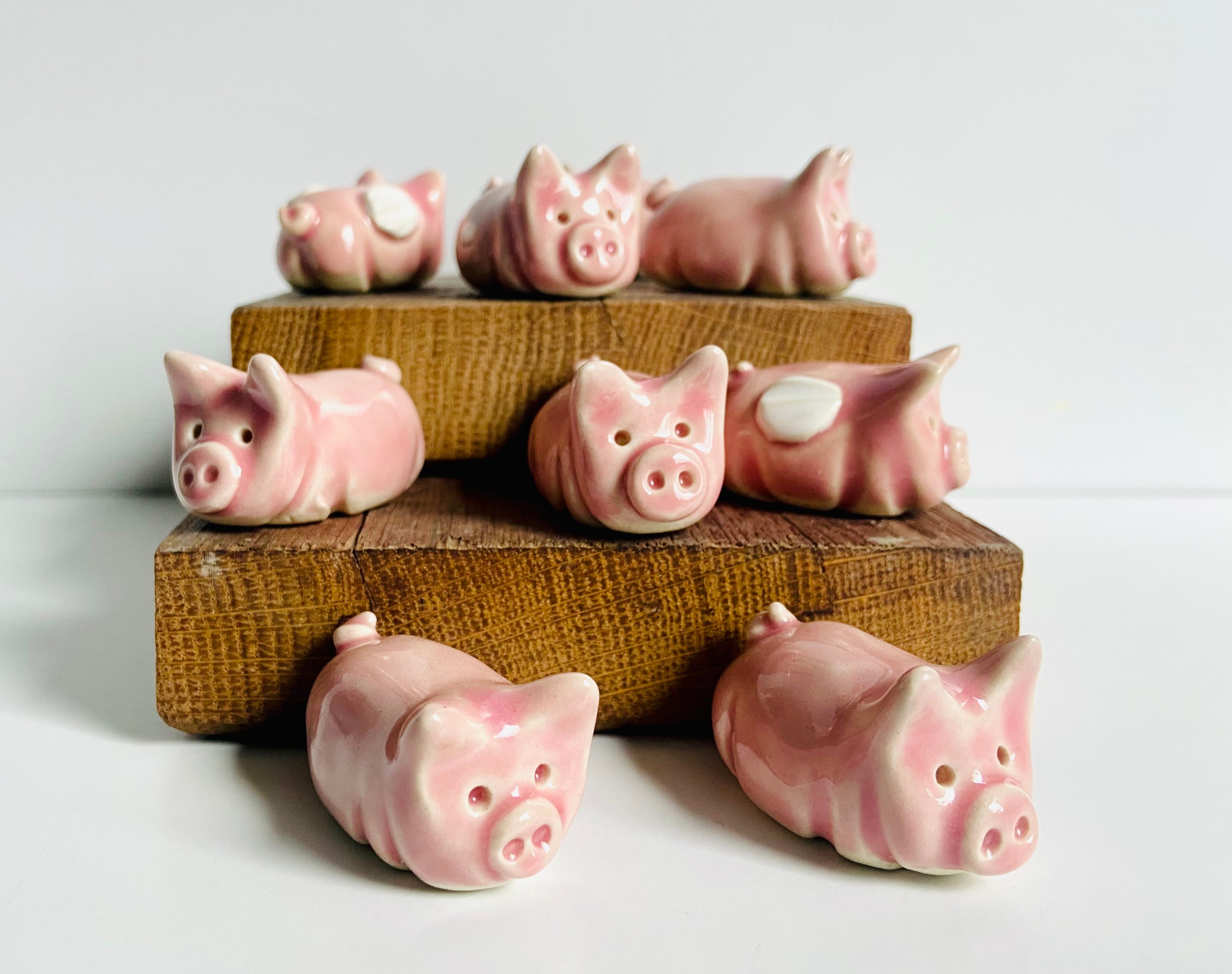 K Dub Art- Ceramic Pigs