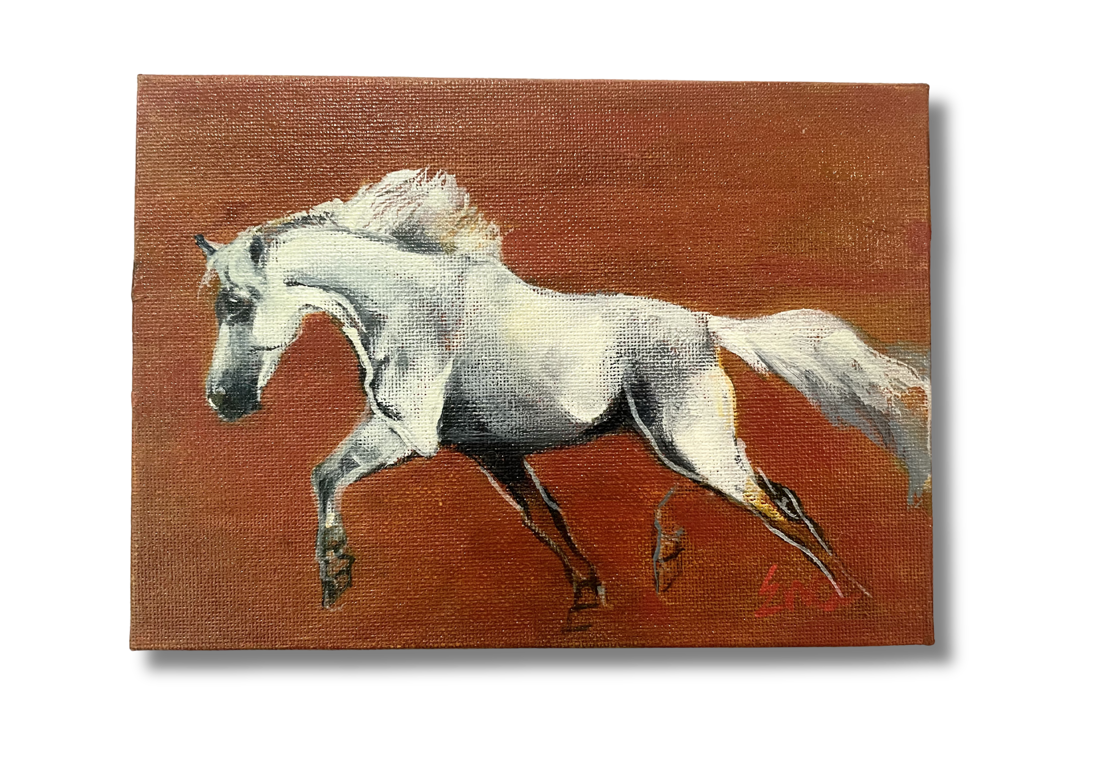 Ewa Perz - Oil Painting 408