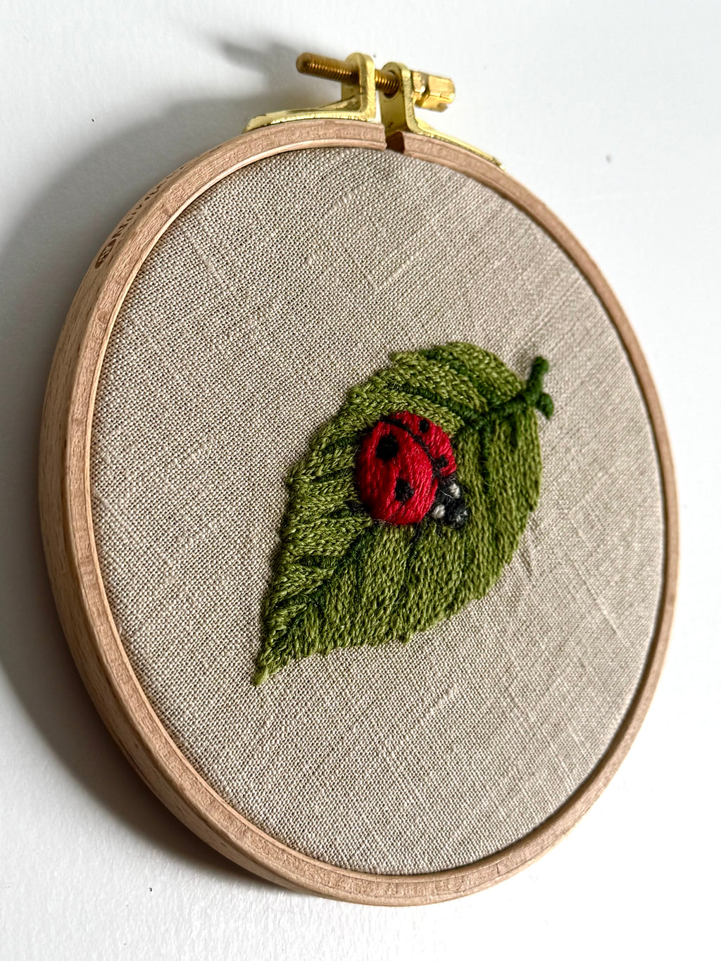 Paige Ream - LadyBug on Leaf