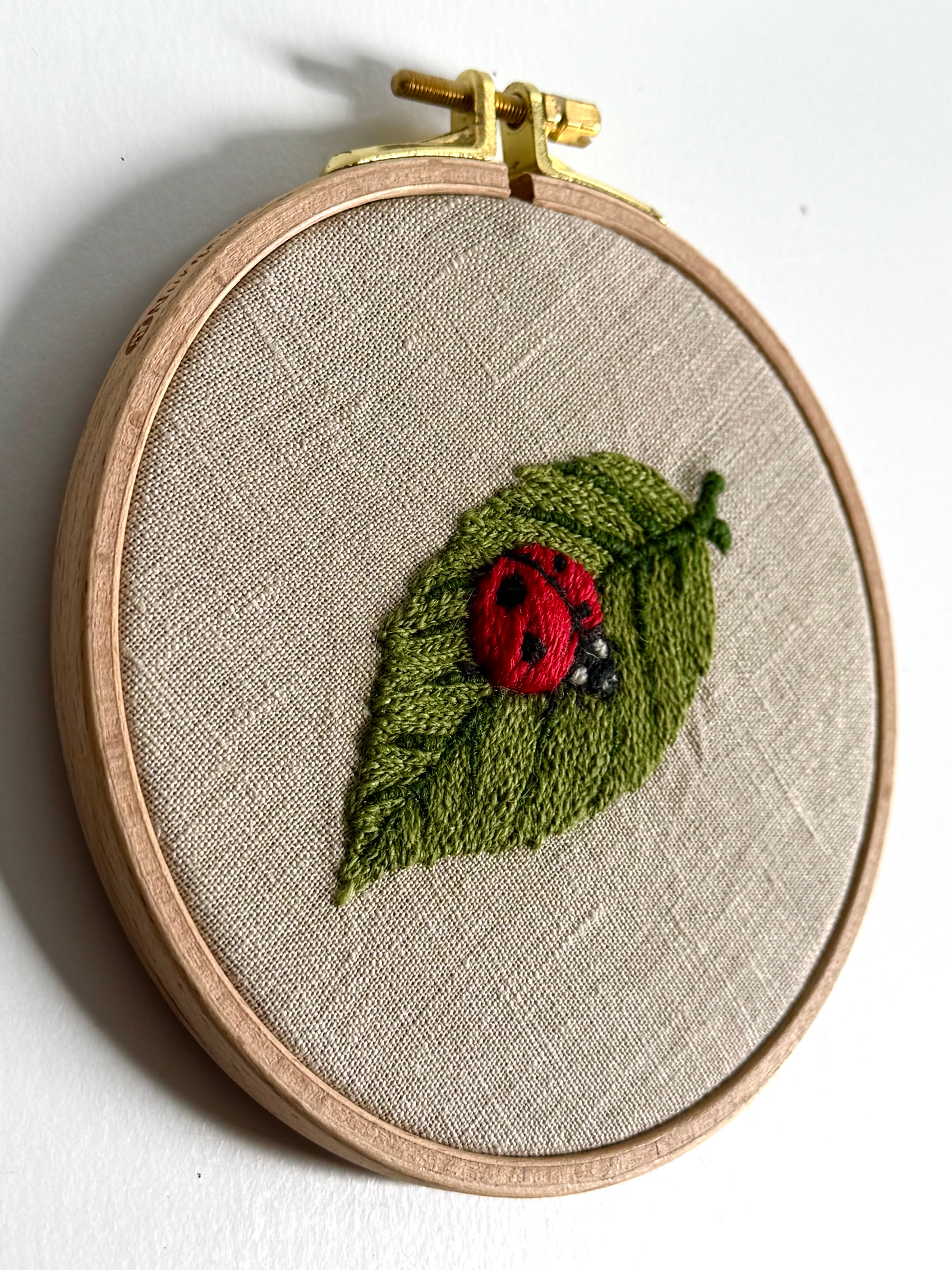 Paige Ream - LadyBug on Leaf