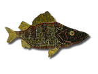 Patrick Jilbert - June BLK Perch
