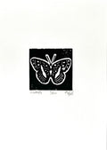 Fox Grove Art - Butterfly