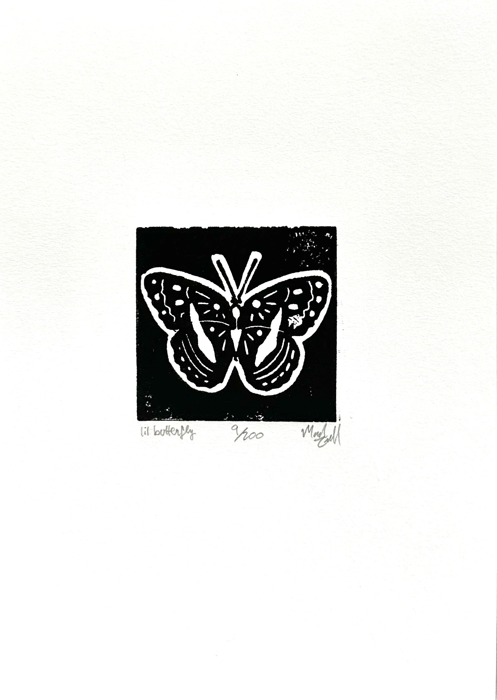 Fox Grove Art - Butterfly