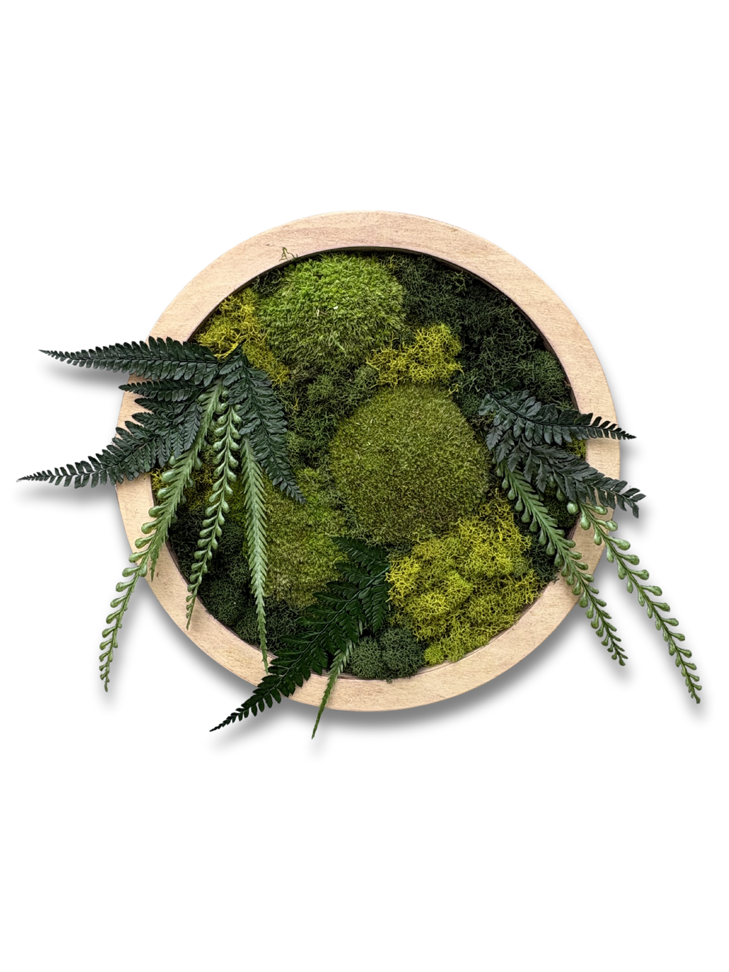 Imani Burns - Medium Round Moss Art