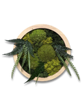 Imani Burns - Medium Round Moss Art