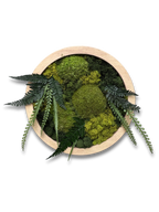 Imani Burns - Medium Round Moss Art