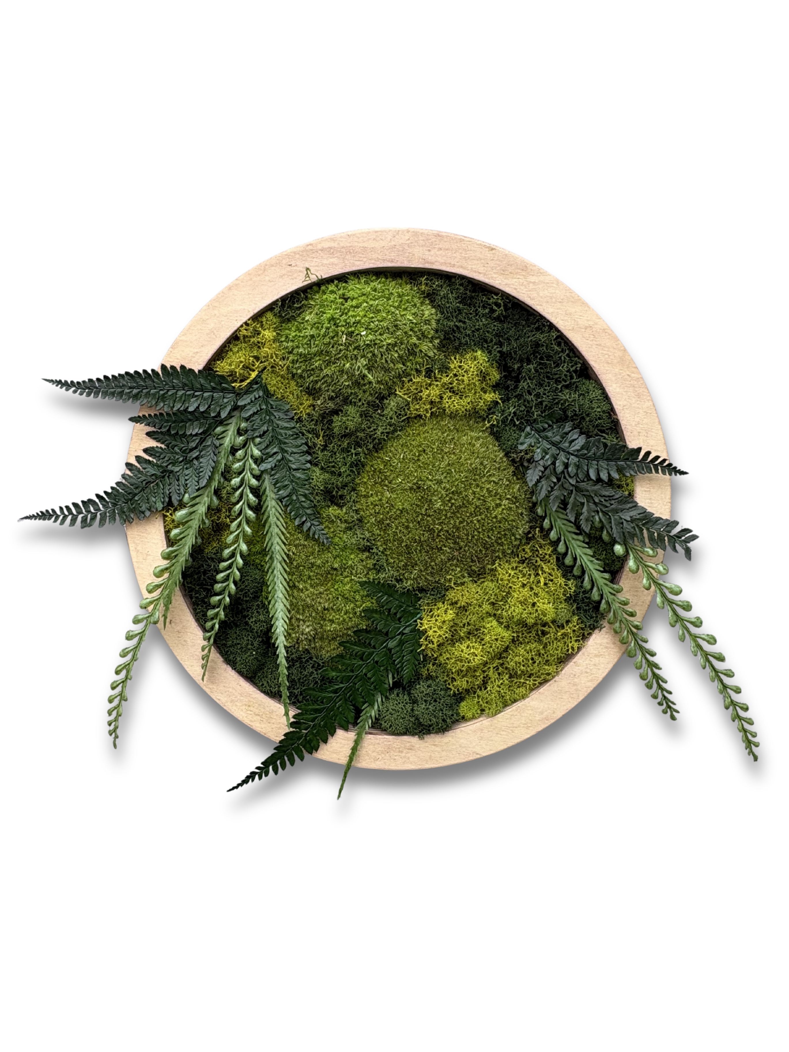 Imani Burns - Medium Round Moss Art