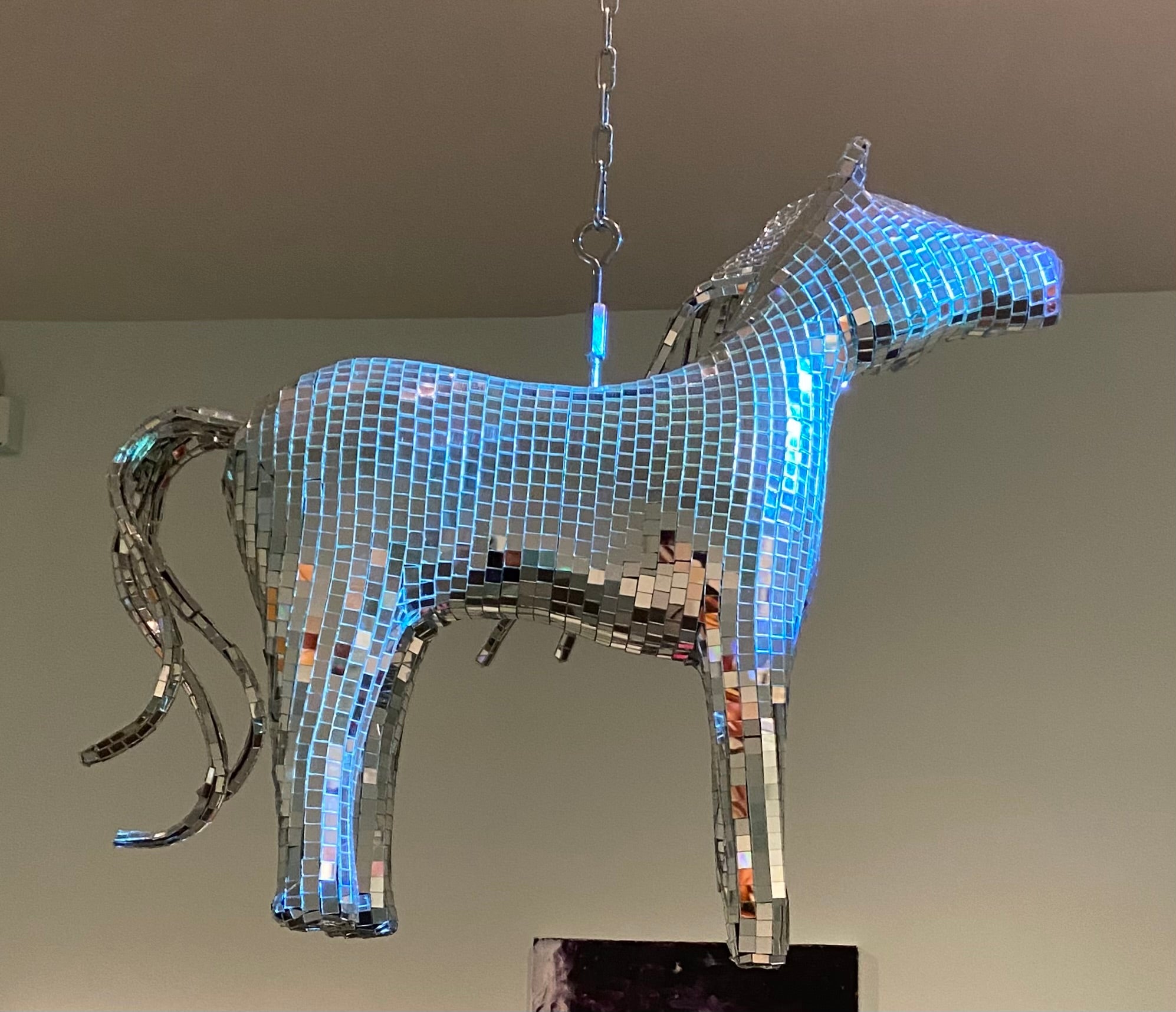 Robert Brown- Disco Horse