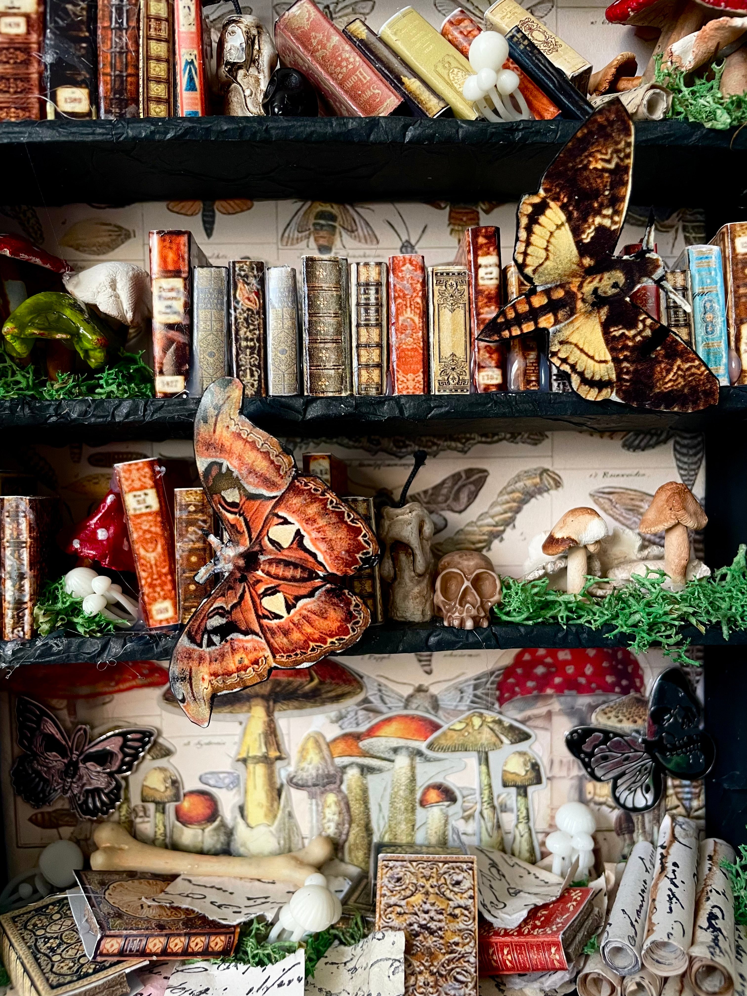 Kimberly Kelting - Oddibrary