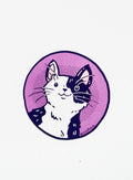 Comfhaus - Kitty Critter Stickers