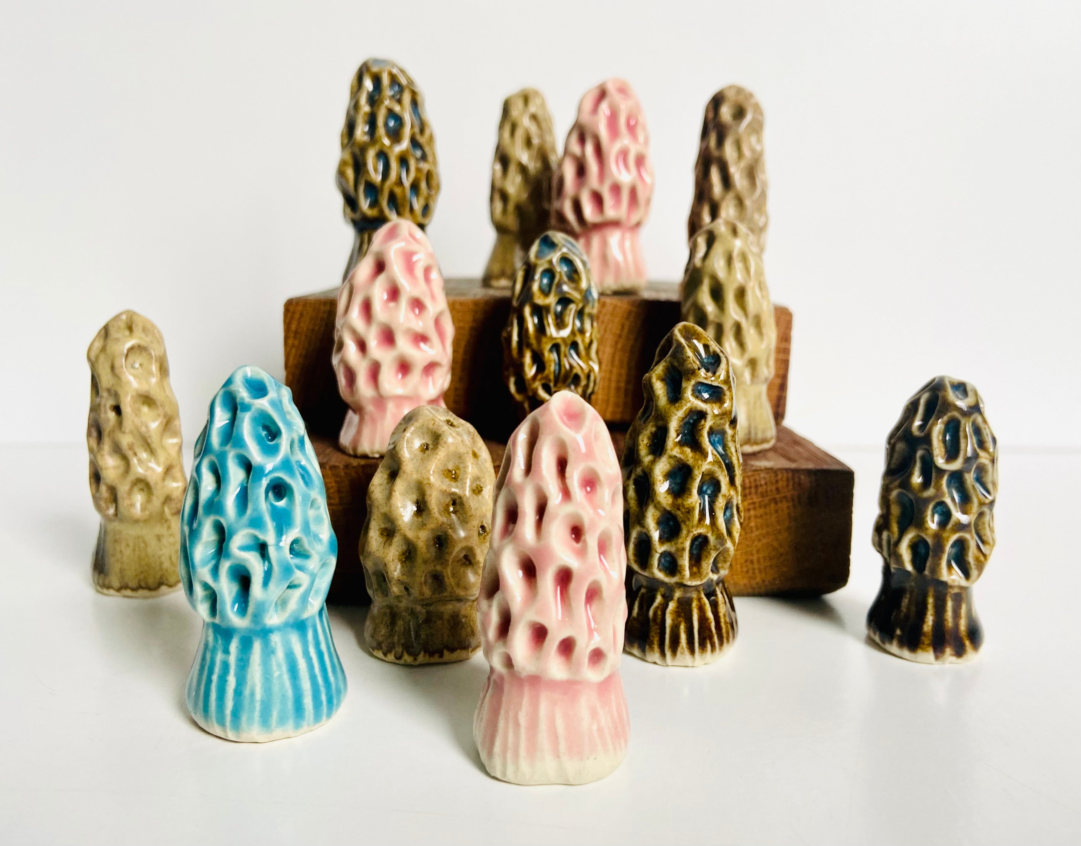 K Dub Art- Morel Mushrooms