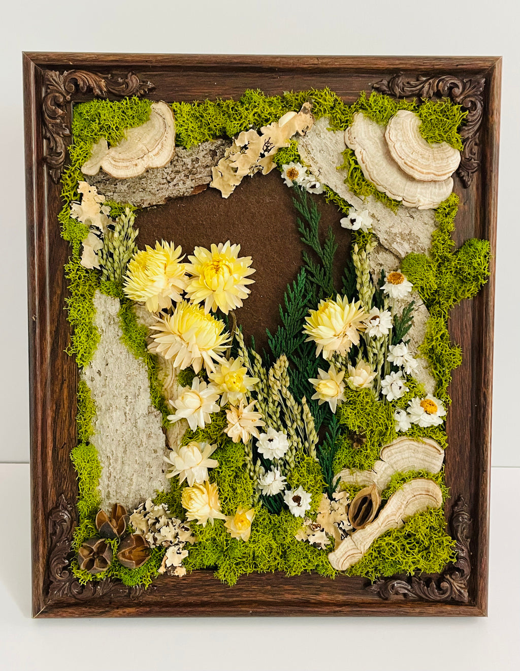 CA Studios - Framed Forest 9.5"x11.5"