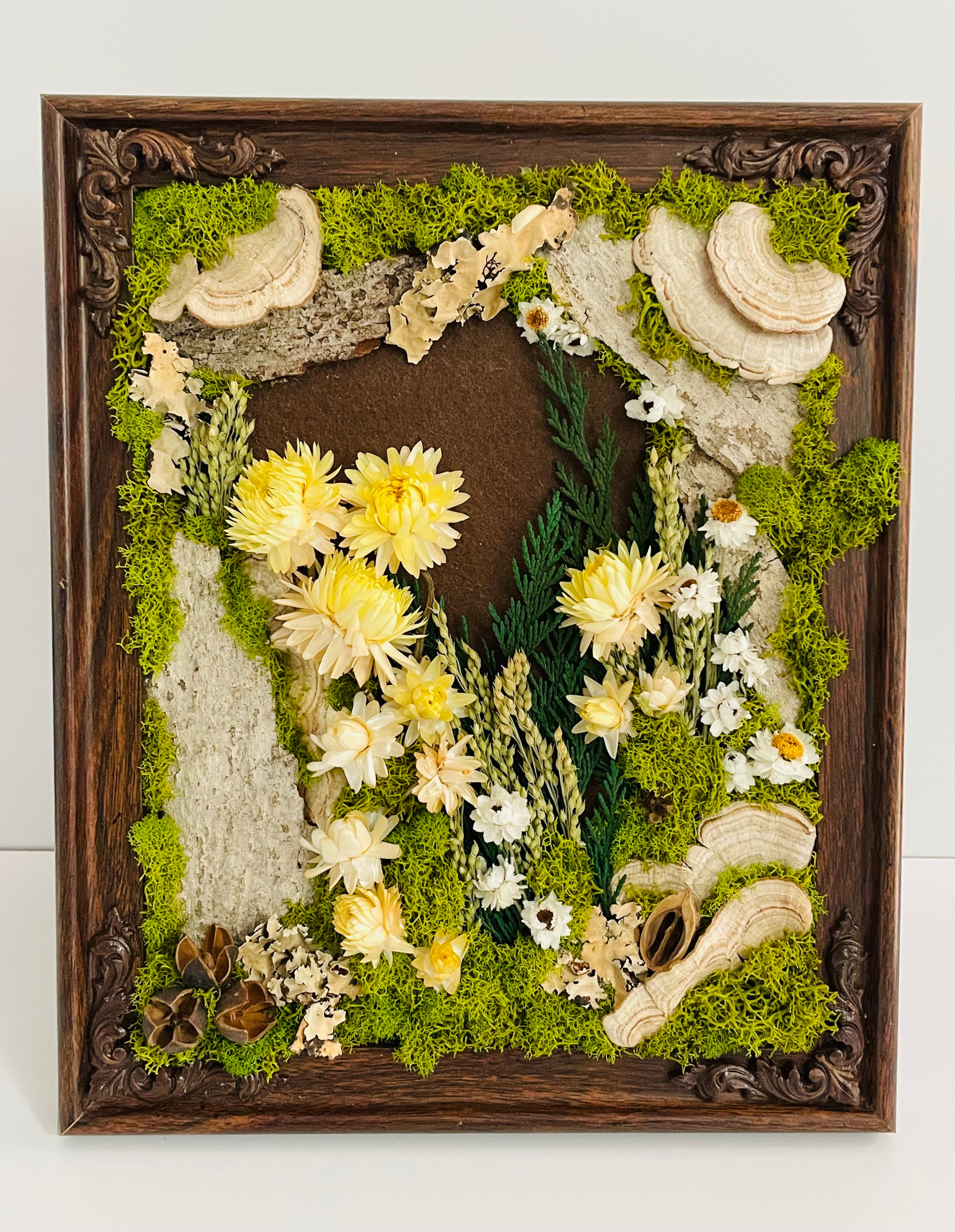 CA Studios - Framed Forest 9.5"x11.5"