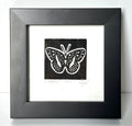 Fox Grove Art - Framed Butterfly