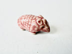 K Dub Art- Ceramic Armadillos